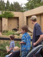 Visiting the Sloth Bear