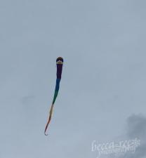 Rainbow kite